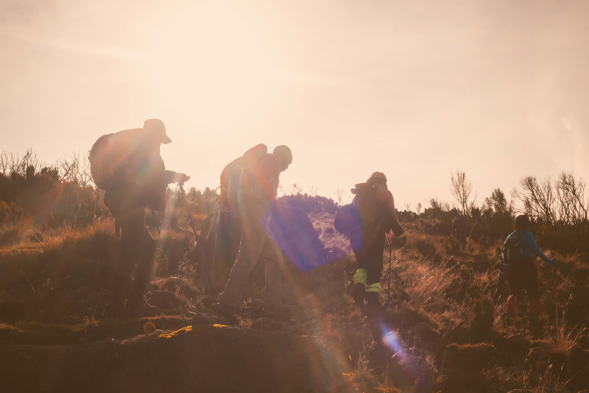 Mount Kenya Trekking: Routes, Difficulty, Prices, and What to Expect